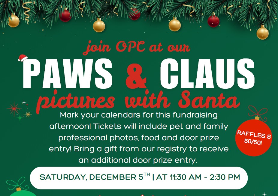 featured paws and claus
